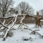 Gestürzter Gigant - Nr.2