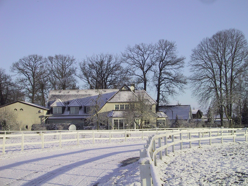 Gestüt Nordheide im Winter