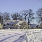 Gestüt Nordheide im Winter