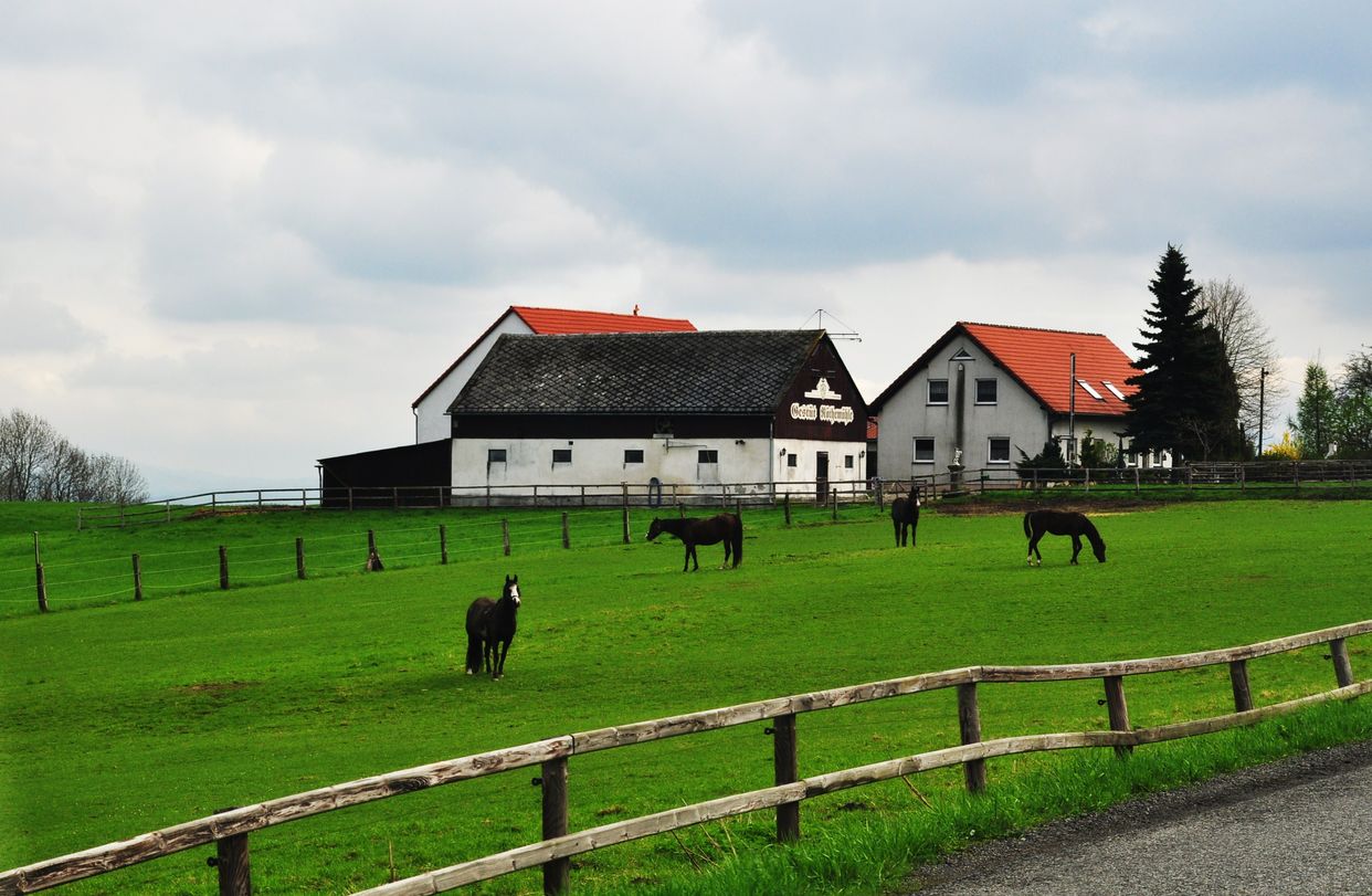 Gestüt Röthemühle