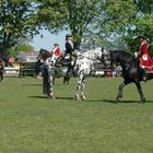 Gestüt Travental beim Oldtimertreffen