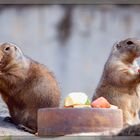 Gesunde Mahlzeit