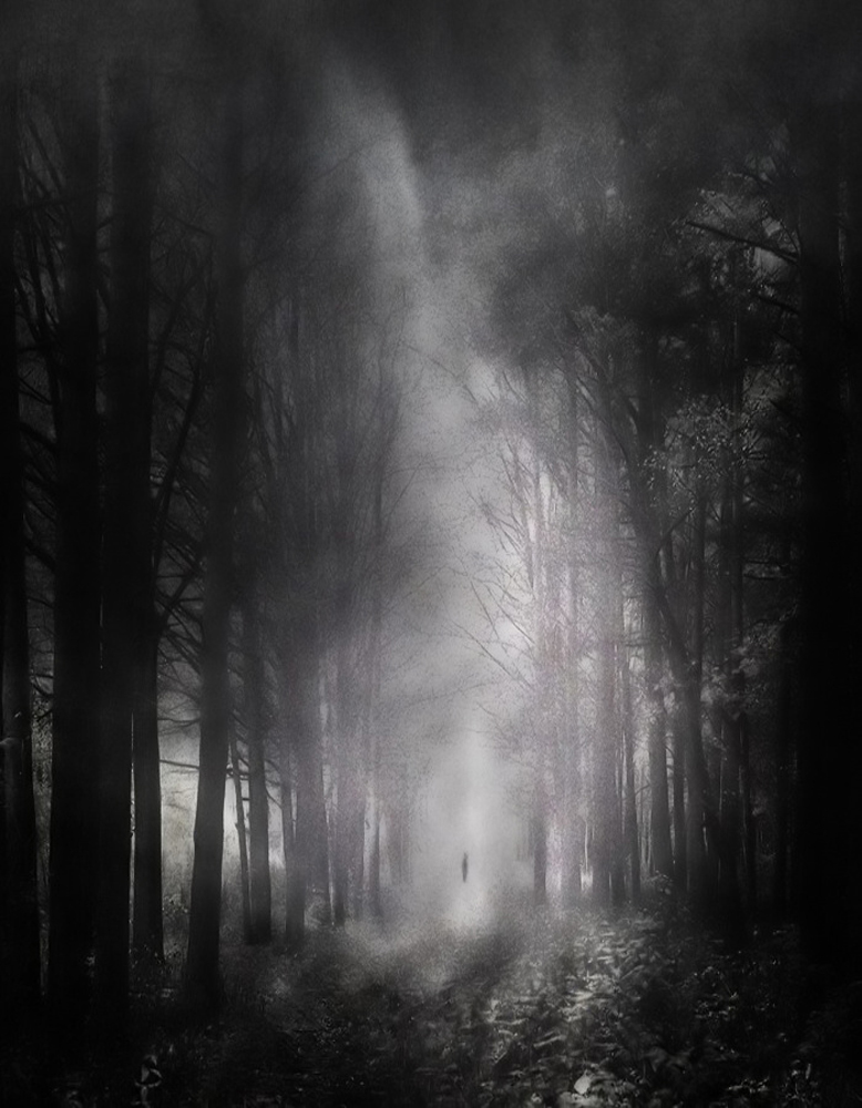 get lost in the fog