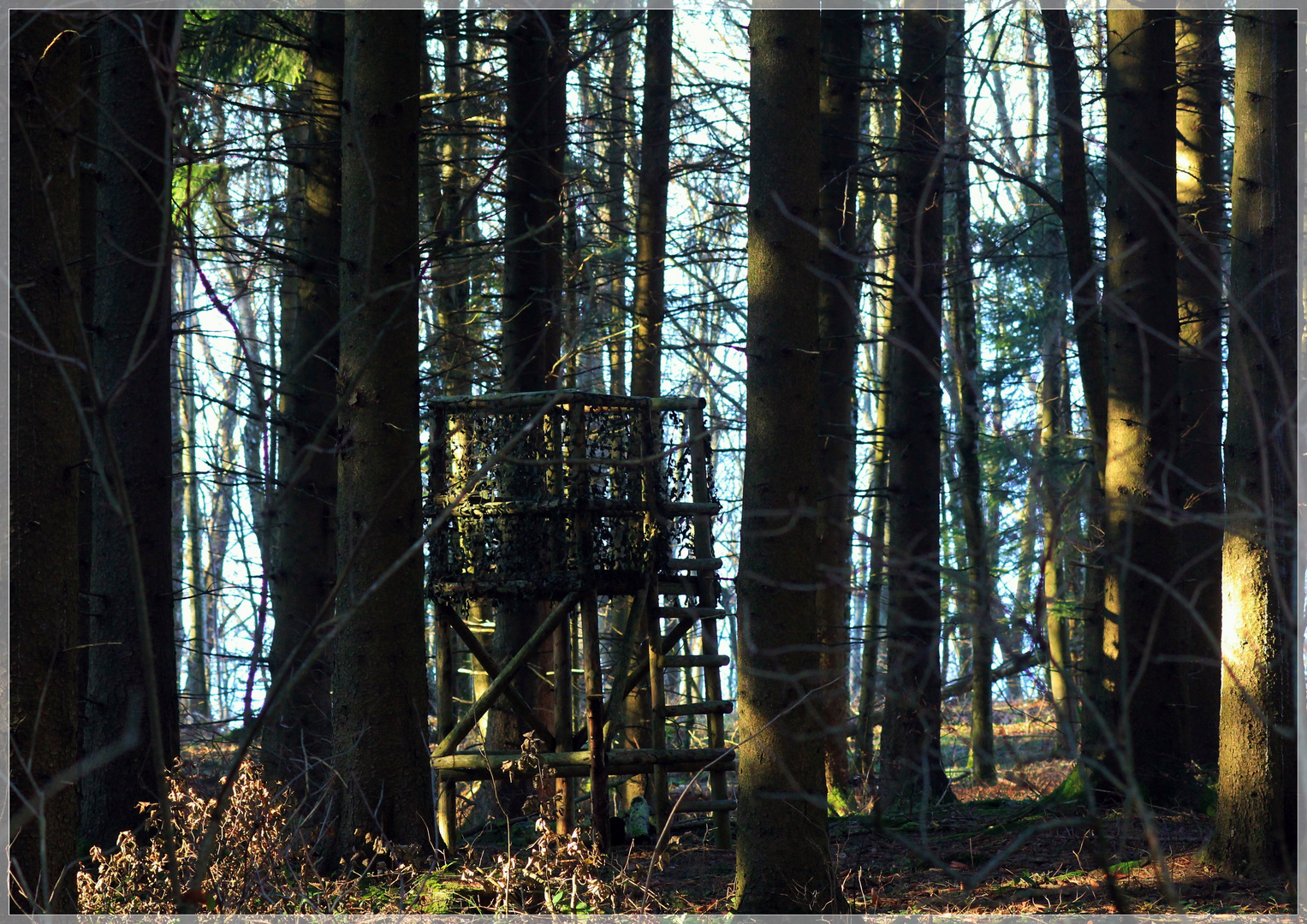 getarnter Hochstand