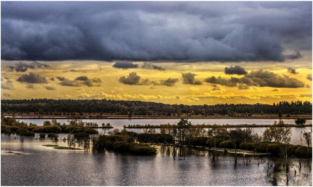 Geteilter Himmel im Moor