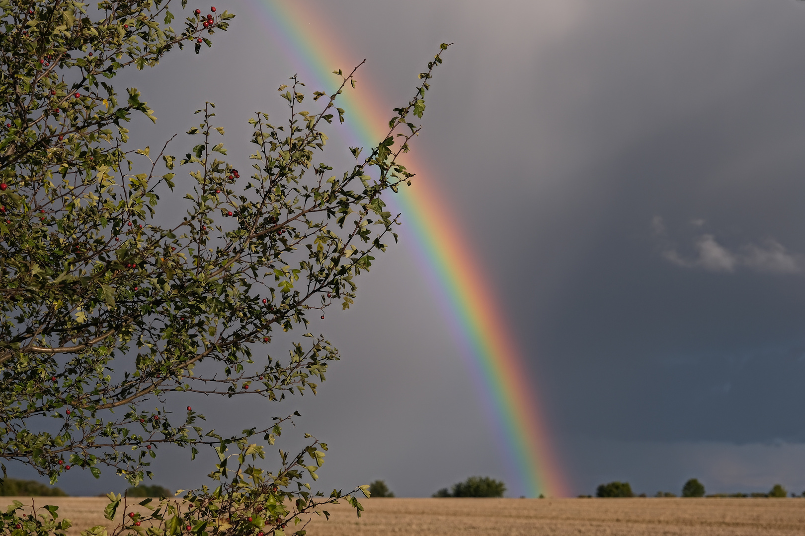 "Geteiltes" Wetter