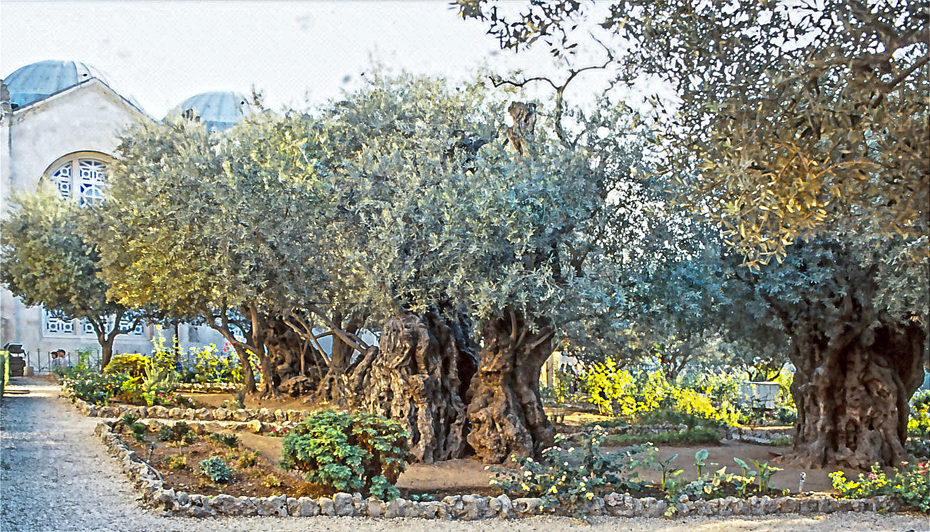 Gethsemane