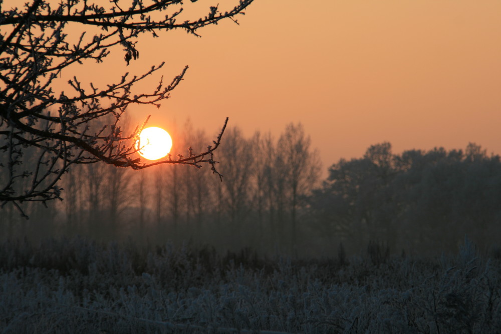 Getragende Abendsonne