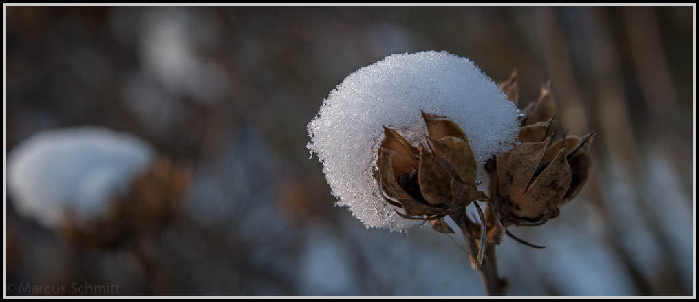 Getragener Schnee