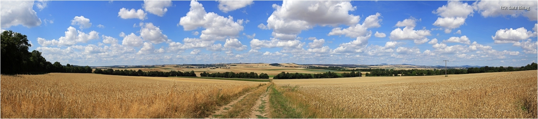 Getreide bei Pillig (Panorama)