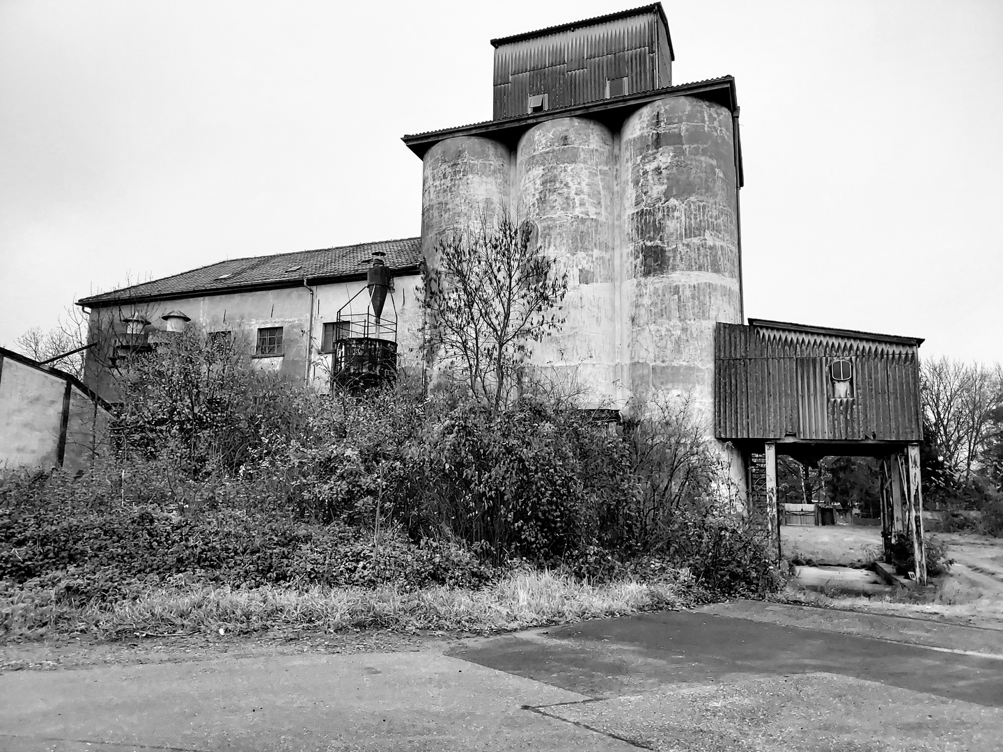 Getreide-Mühle