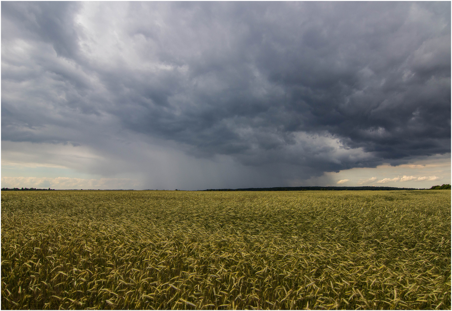 Getreide - Regenwolken