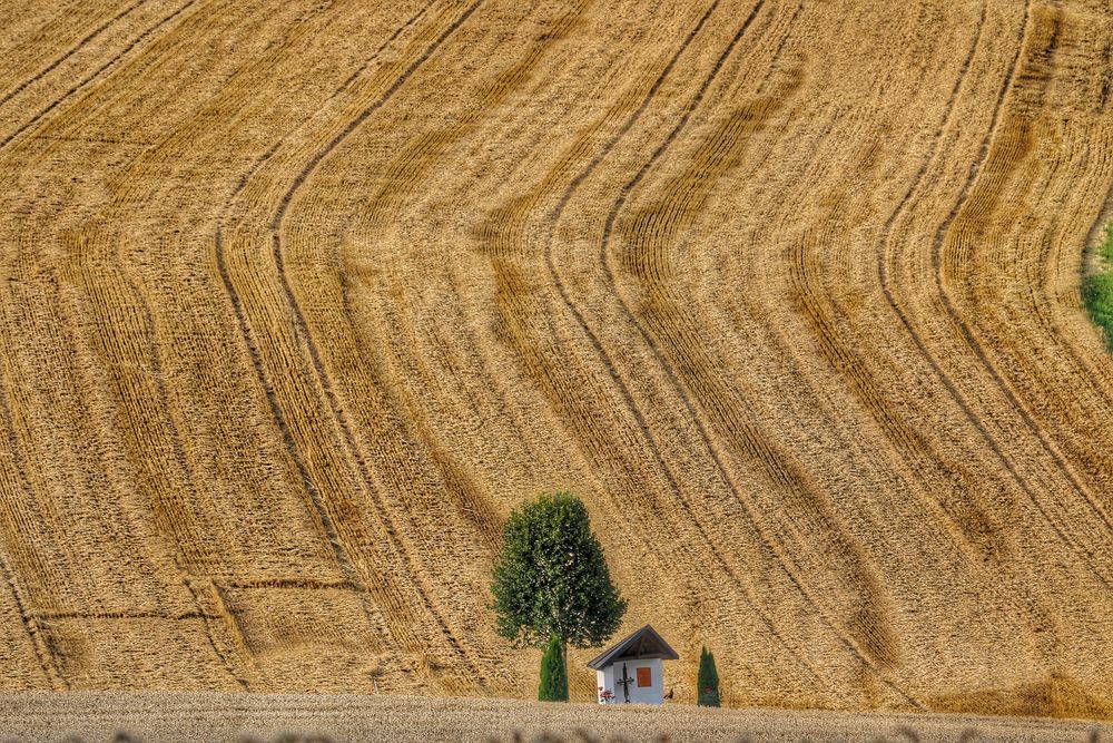 Getreide-Wachposten