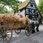 Getreide wird mit  einem Leiterwagen in die Scheune gefahren