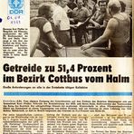 Getreideernte 1979