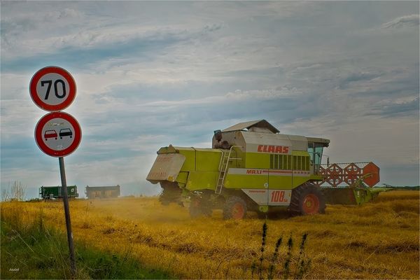 Getreideernte am Haarstrang