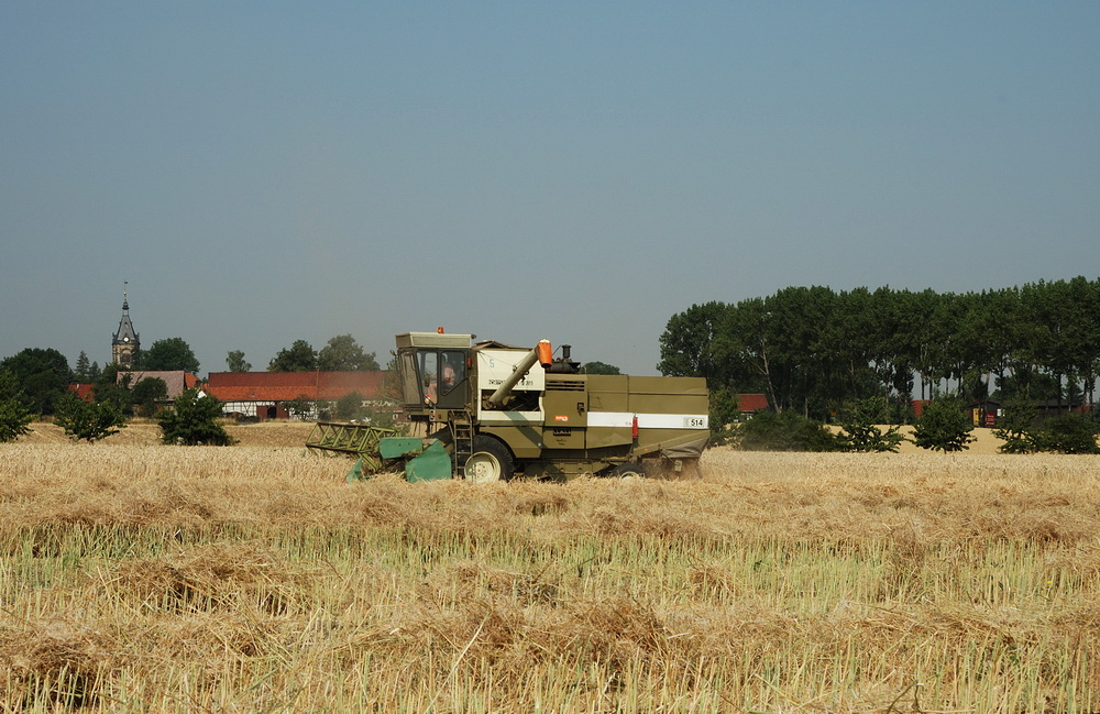 Getreideernte in Thüringen