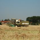 Getreideernte in Thüringen