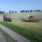 Getreideernte in Vorpommern (2)
