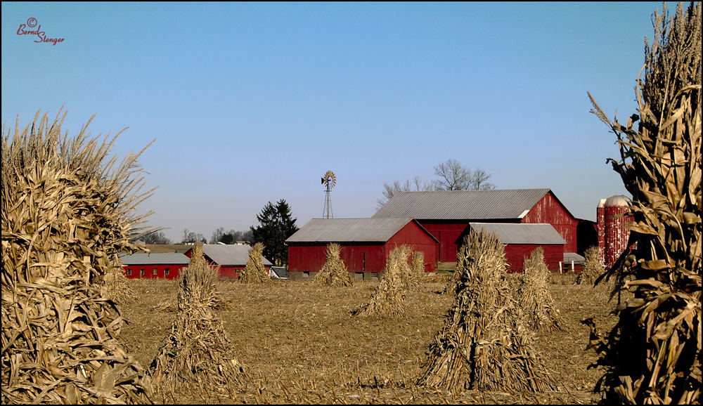 Getreidefarm in Ohio/USA