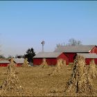 Getreidefarm in Ohio/USA