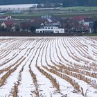 Getreidefeld im Schnee