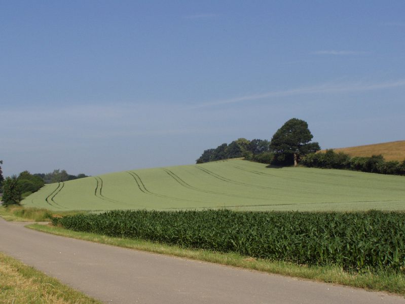 Getreidefeld in Form gebracht