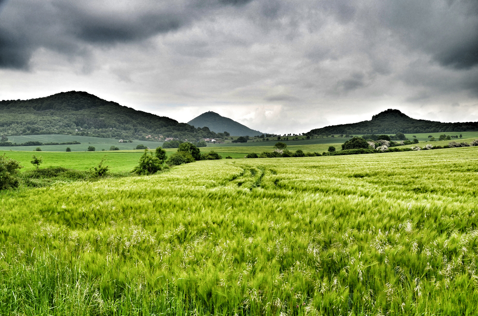 Getreidefeld mit aufziehenden Wolken