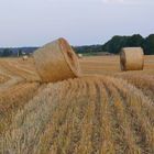 Getreidefeld nach der Ernte ...