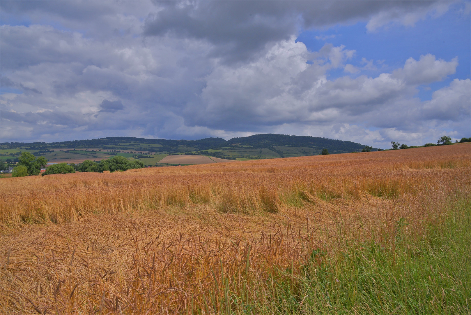 Getreidefelder (campos)