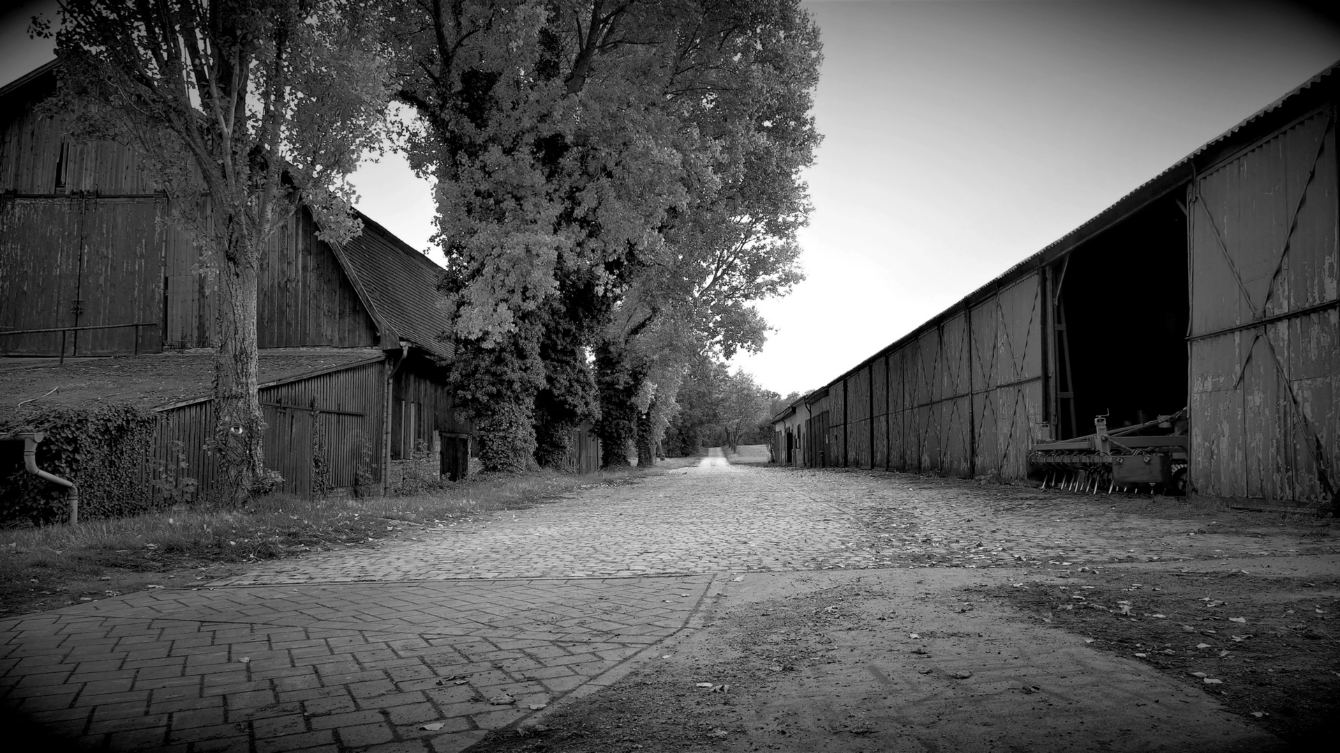 Getreidehalle Gestüt Westerberg