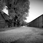 Getreidehalle Gestüt Westerberg