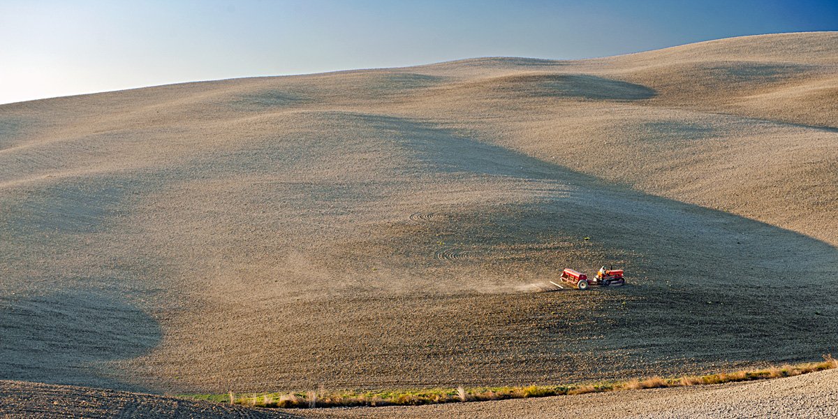 Getreidesaat in der Toskana