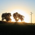 Getreidestaub liegt in der Luft