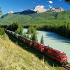 Getreidezug der Canadian Pacific Railways nahe Lake Louise, Alberta, Kanada