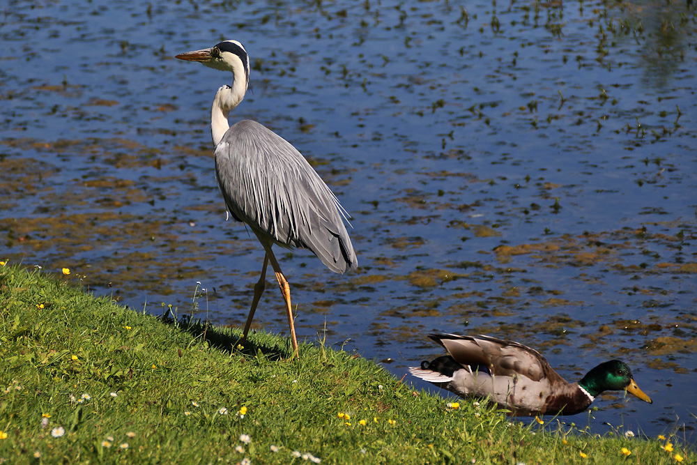 getrennte Wege