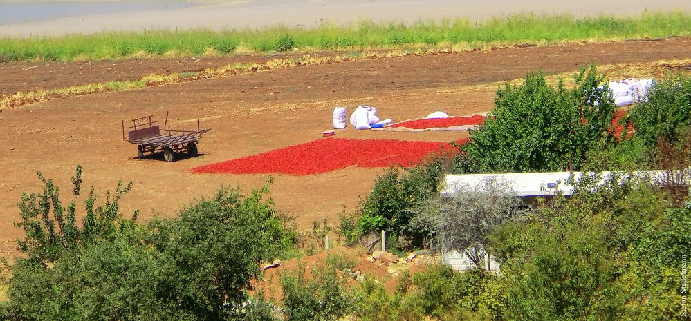 getrocknete Paprika