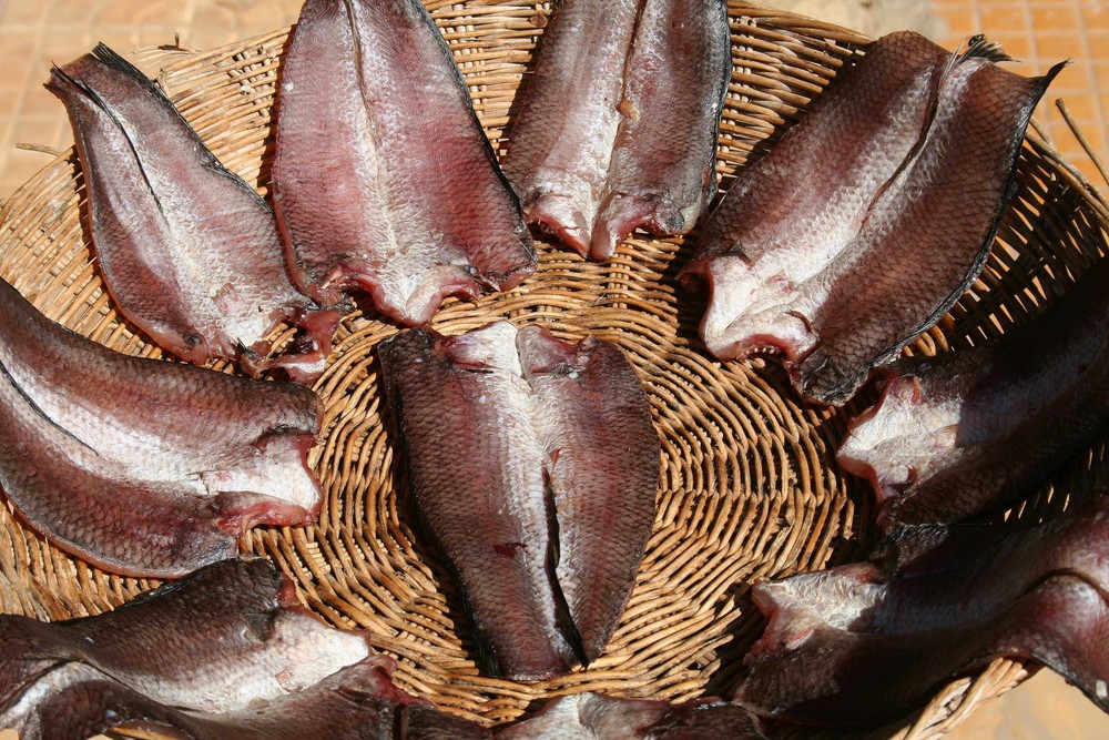 getrockneter Fisch - dried fish
