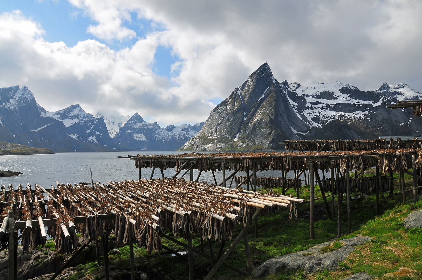 ... getrockneter Fisch in Hamnøy