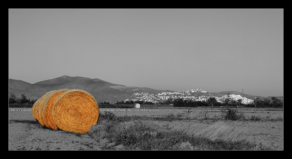 Getrocknetes Gras = Heu/Getrocknete Halme und Stängel= Stroh