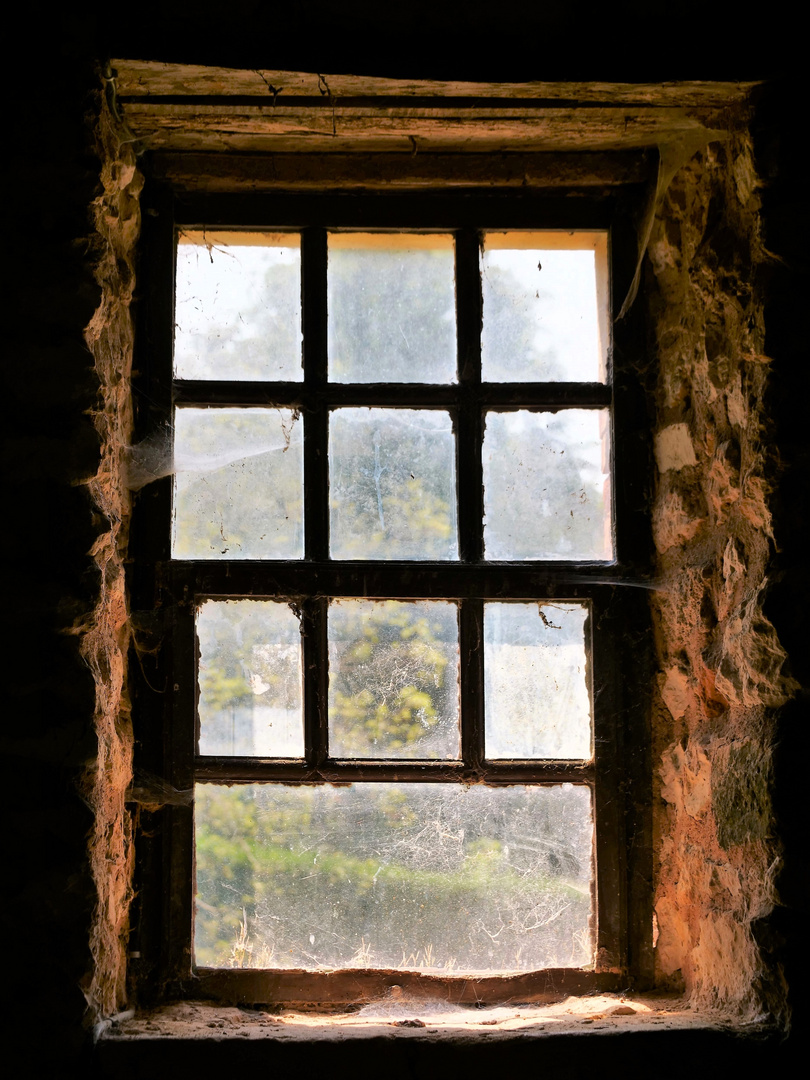 Getrübter Durchblick