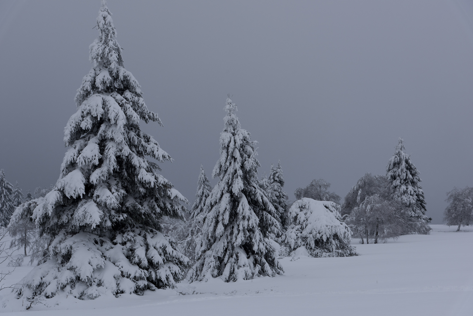 getrübter Wintertraum