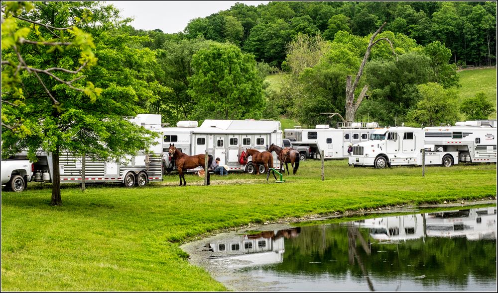 Getting ready for the Rodeo