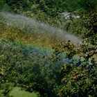 Getto d'arcobaleno tra le Mele di Antey