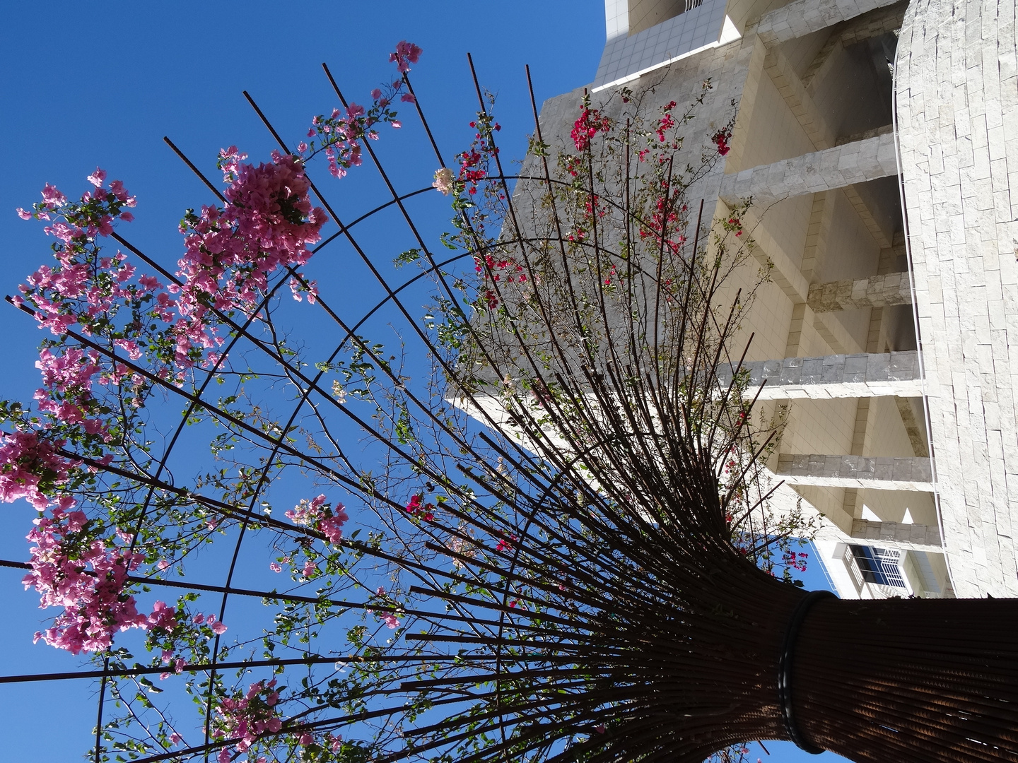 Getty Center (4)