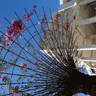 Getty Center (4)