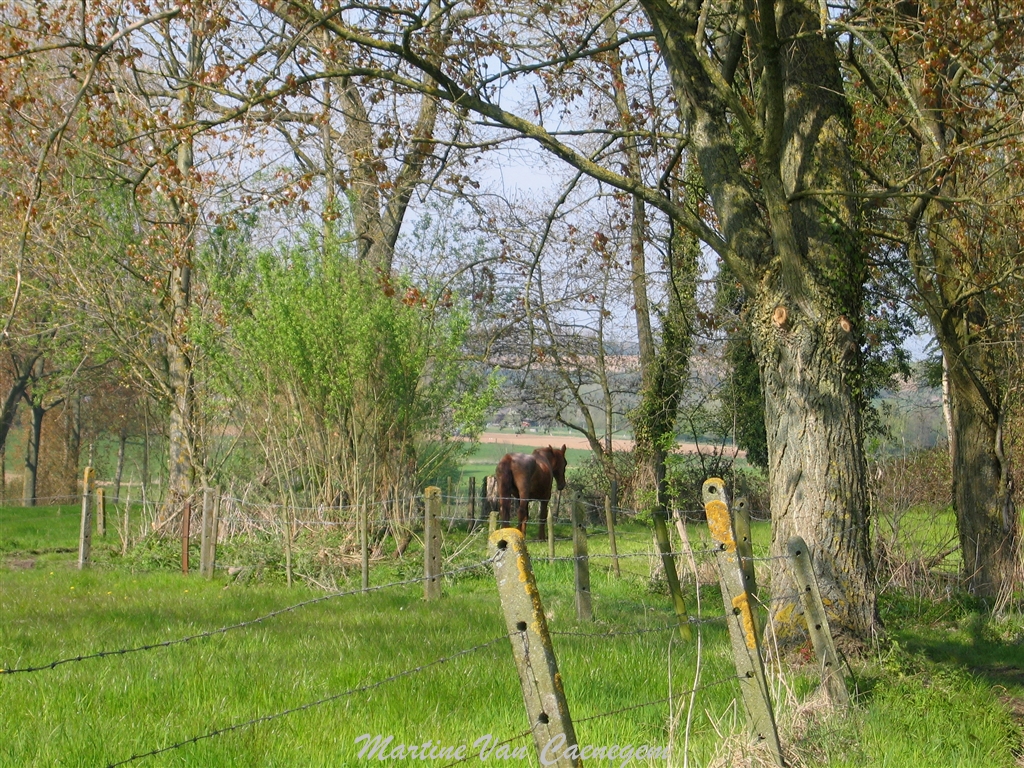 Geuzenwandelroute