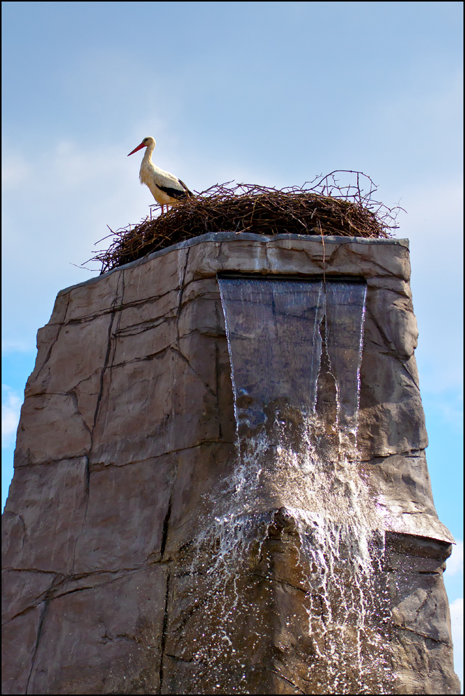 Gevatter Storch