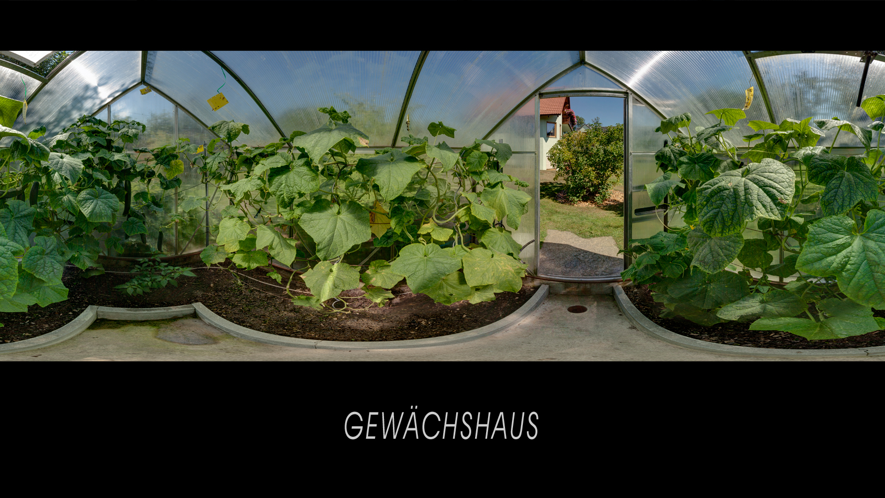 Gewächshaus