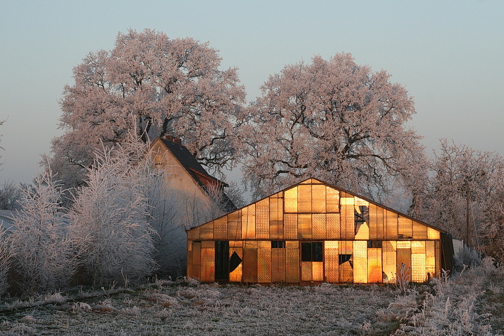 Gewächshaus bei Sonnenuntergang